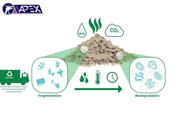 The biodegradation process of plastic occurs in three stages